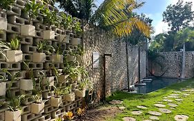 Bau Tulum